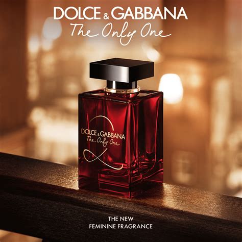 the only one dolce gabbana dupe|d&g the only one 2.